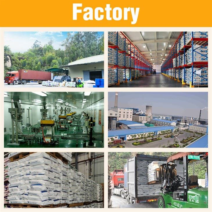 Monosodium Glutamate Msg E621 Food Additive